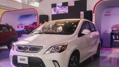Hatchback D20