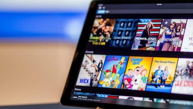 stream movies torrents