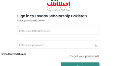 Ehsaas Scholarship for Students 2020 | Ehsaas scholarship phase 2