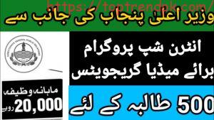 Online Apply CM Punjab Internship Program 2024 | Rs. 20,000/-