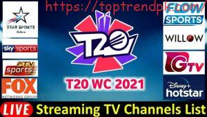 Icc T20 World Cup Live Streaming Channels & TV 2024