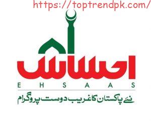 New Update How To Check Ehsaas Program Status 2024