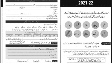 Punjab Artist Support Fund Form