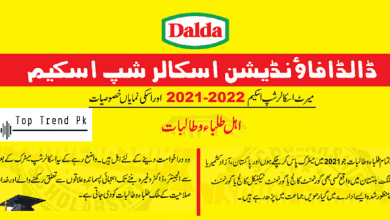 Dalda Foundation Scholarship Program 2022