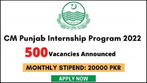 CM Punjab Paid Internship Program 2024 Fully Funded | Apply Now