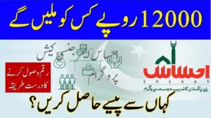 8171 Ehsaas Program 12000 Online Apply 2025
