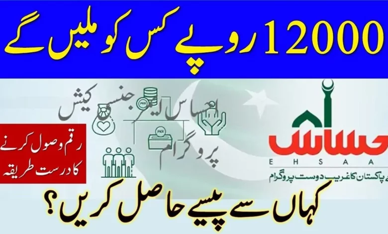 Ehsaas Program 12000 Online Apply