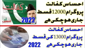 Ehsaas Program 13000 Online Check 2024 | Ehsaas 13000 Online Check
