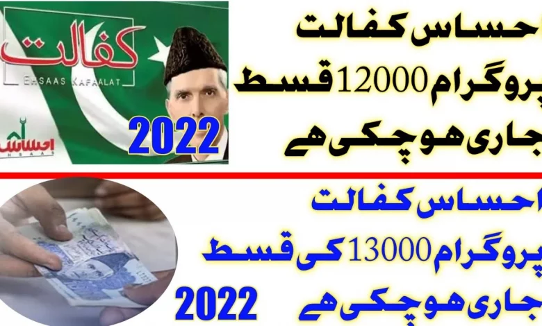 Ehsaas Program 13000 Online Check