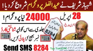 Shahbaz Shareef Ehsaas Eidi Cash Program Online Registration 2025