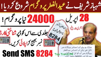 Ehsaas Eidi Cash Program Online Registration 2022