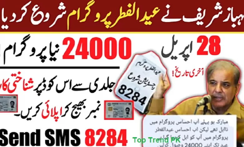 Ehsaas Eidi Cash Program Online Registration 2022