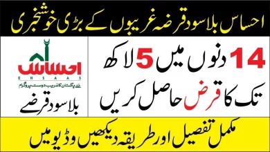 Ehsaas Loan Program Online Registration