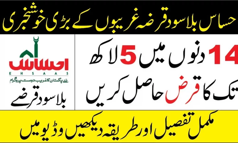 Ehsaas Loan Program Online Registration