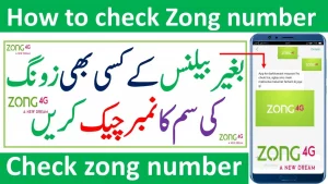 How to Check Zong Number 2024 Via SMS, APP, Portal