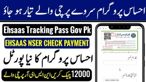 NSER Ilmi 2025 – Online Registration & 8171 Check CNIC