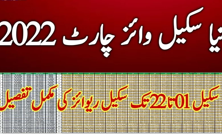 basic pay scale chart 2022 punjab government