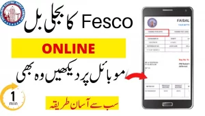 Fesco Bill Online Check Portal 2025