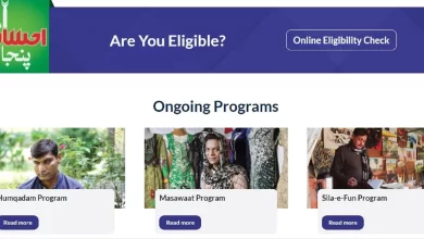 Punjab Ehsaas Program