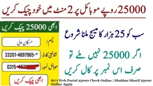 8171 Web Portal 25000 Check Online | Shahbaz Sharif 25000 Online Apply