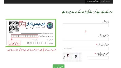 BISP Check Balance Online By Cnic 2023-2