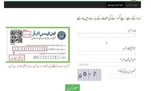 Ehsaas Program 7000 Online Registration CNIC Check NADRA Gov PK 2024