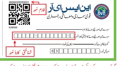 Ehsaas Program cnic check