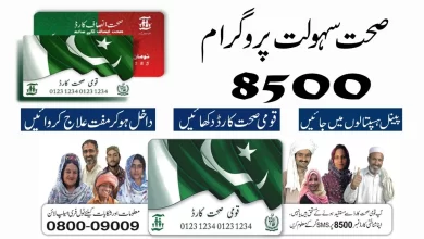 Qaumi Sehat Card Check Online