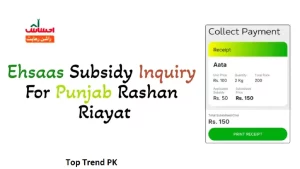 Ehsaas Subsidy Inquiry Portal On Rashan Program 2025