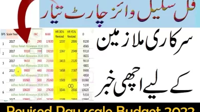 Punjab Pay Scale Chart 2023 Revised Notification