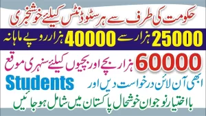 Ba Ikhtiyar Naujawan Internship Program 2024 – How To Apply