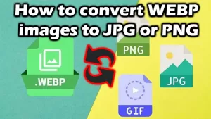 How to Create PNG From Google WebP File for Free 2024