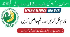 Ehsaas Program 12000 Check Online CNIC Registration 2024