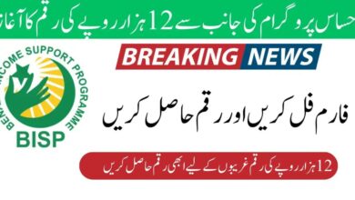 ehsaas 12000 payment