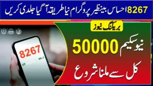 8267 Payment SMS Code For Ehsaas Today Update 2024