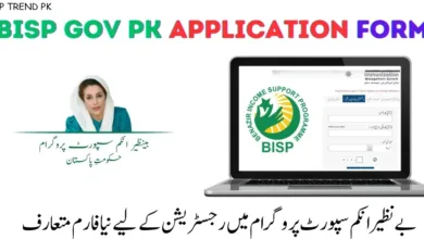 Apply for BISP benefits with ease! Image guides you through the new registration form for 2024. Complete details and process included.