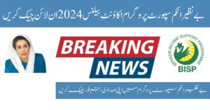 BISP 8171 Balance Check Online And Registration Portal 2024