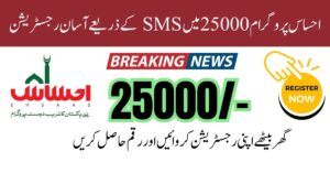 8171 Ehsaas Program 25000 BISP Online Registration