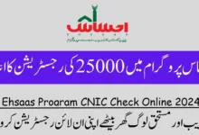 Check your Ehsaas Program status with a click! Image guides you through easy CNIC check and application tracking online in 2024. Stay informed!