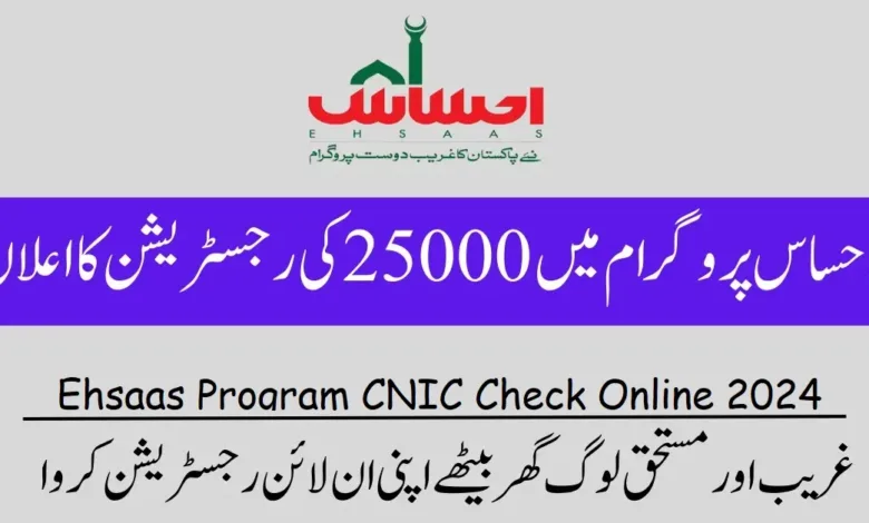 Check your Ehsaas Program status with a click! Image guides you through easy CNIC check and application tracking online in 2024. Stay informed!