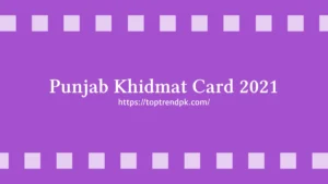 Khidmat Card Wazifa Check Online 2025 – Punjab CNIC Verification Guide