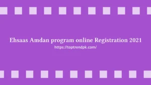 Ehsaas Amdan Program Online Registration 2025