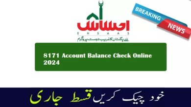 Ehsaas Program 2024: Check 8171 Account Balance Online. Learn how to apply and access funds. A complete guide for a simple process to get money
