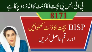key point of BISP Bachat Savings Scheme
