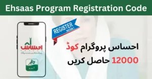 Ehsaas Program Code CNIC Check Registration New Update 2024
