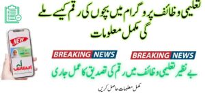 8171 Ehsaas Taleemi Wazifa Program Check Online 2025