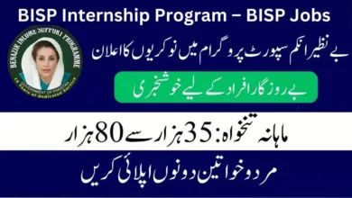BISP Internship Program Online Registration started follow simple steps and apply online.