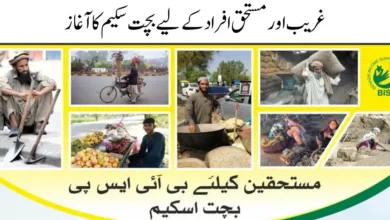 BISP saving scheme registration form online 2024 apply now