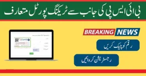 Benazir Tracking Program Application Status Check