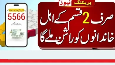 Wazir E Azam Relief Package 5566